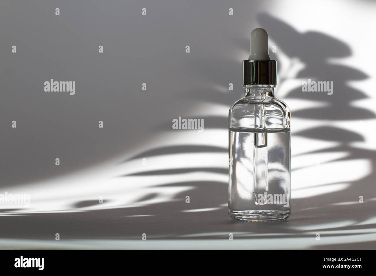 Download Cosmetic Bottle With Pipette Transparent Liquid Product In Glass Bottle With Dropper Serum Skin Care On Light Grey Background And Plant Shadows Front View With Copy Space Beauty Product Mockup Stock Photo