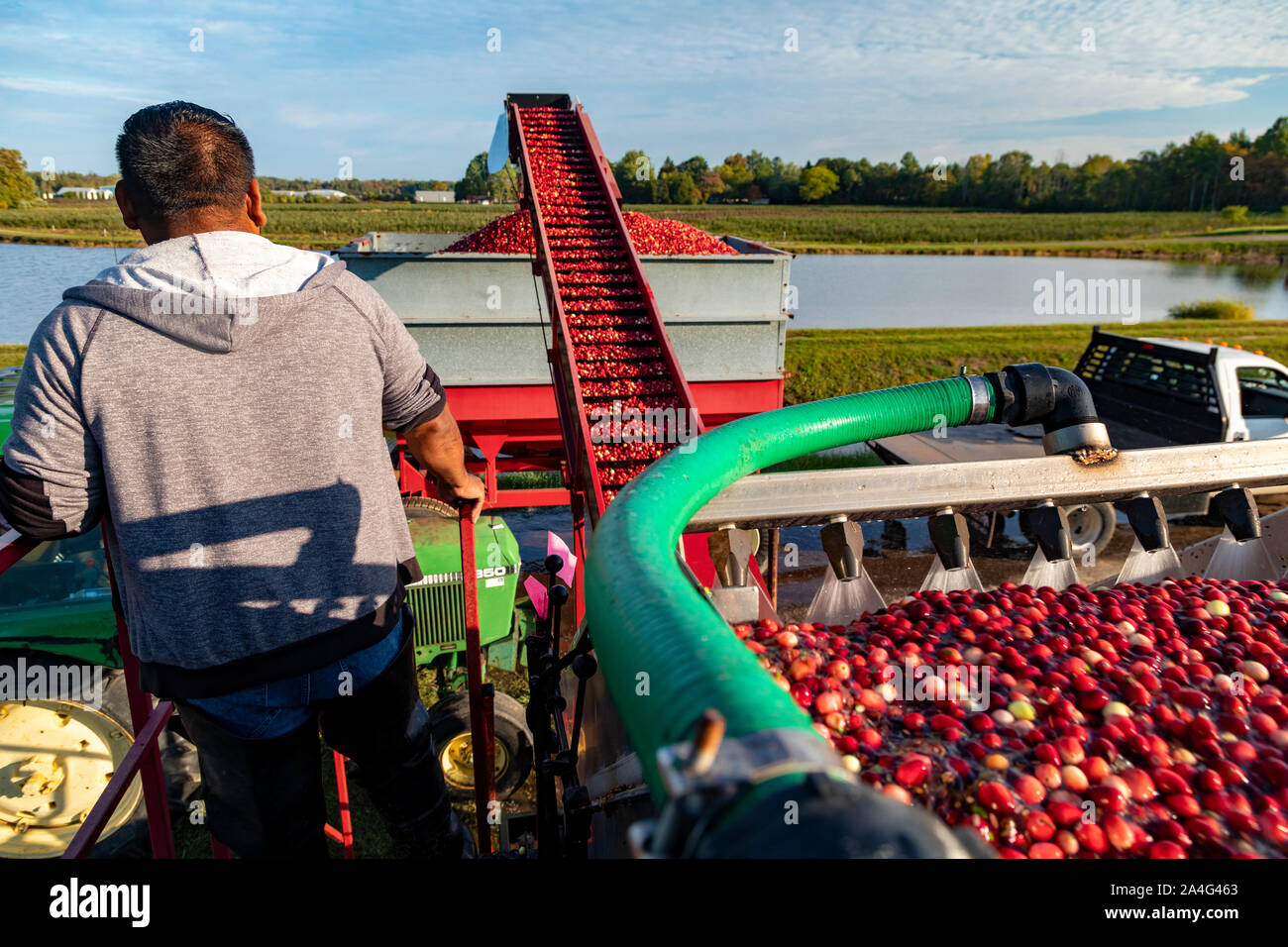Cart conveyor hires stock photography and images Alamy