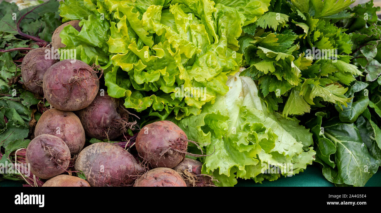 Various fresh vegetables in a traditional organic market in Leon, Spain. Healthy food background Stock Photo