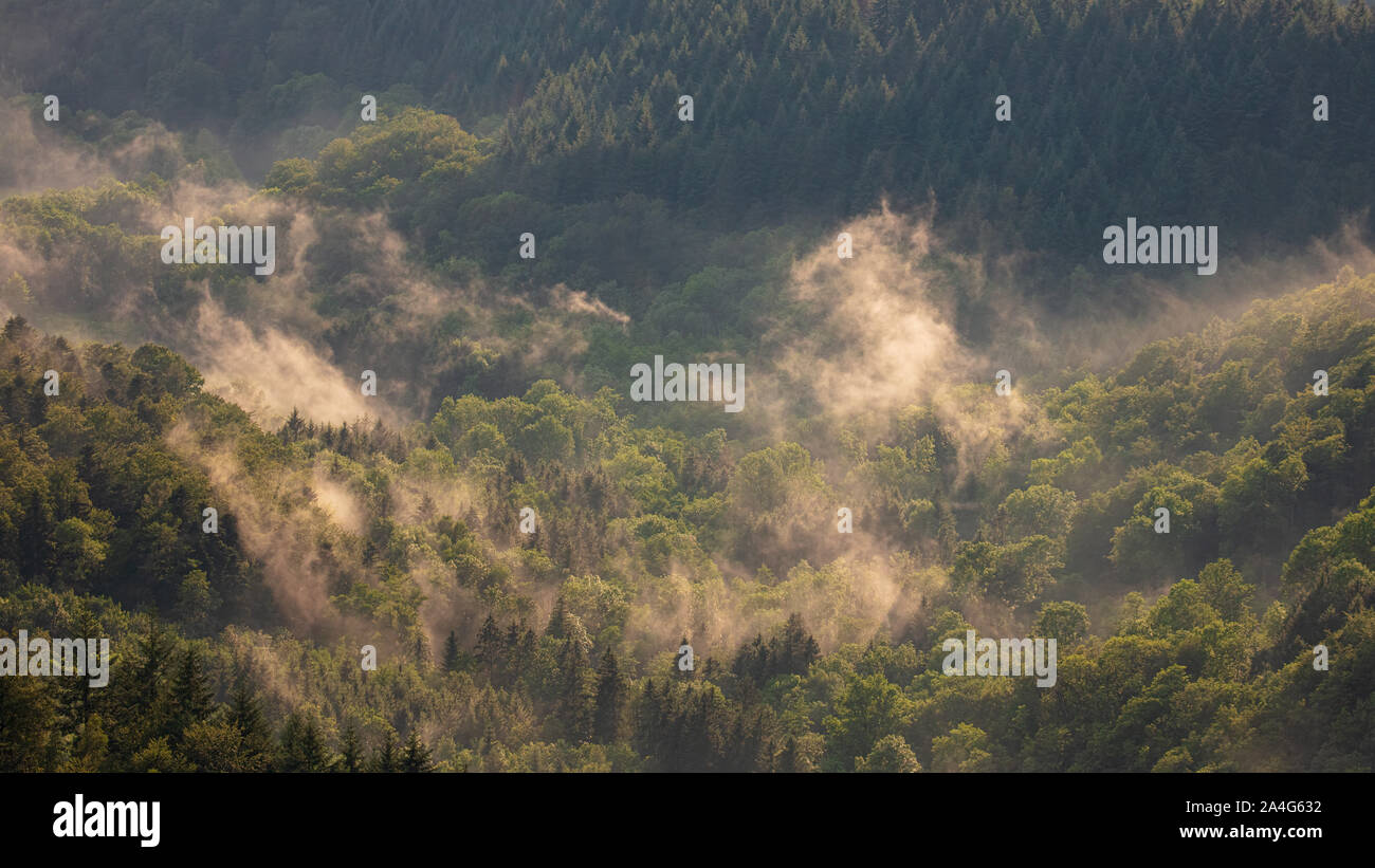 Fog over the forest hi-res stock photography and images - Alamy