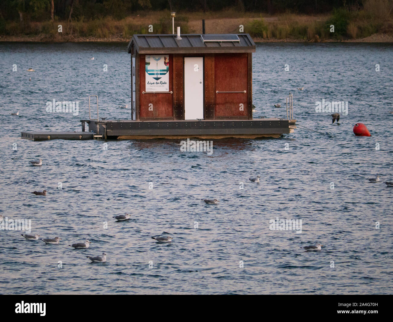 Floating Outhouse Lake Natoma Folsom Lake  SRA CA Stock Photo
