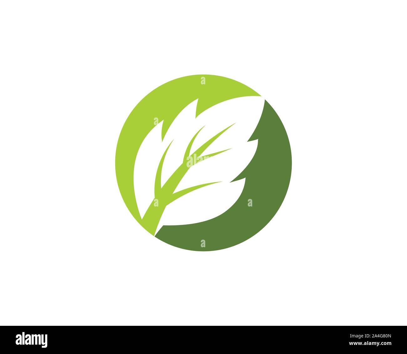 Tree Leaf Vector icon Illustration design template Stock Vector Image ...