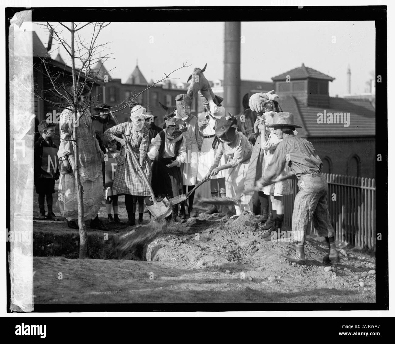 Forest restoration, tree planting Black and White Stock Photos & Images ...