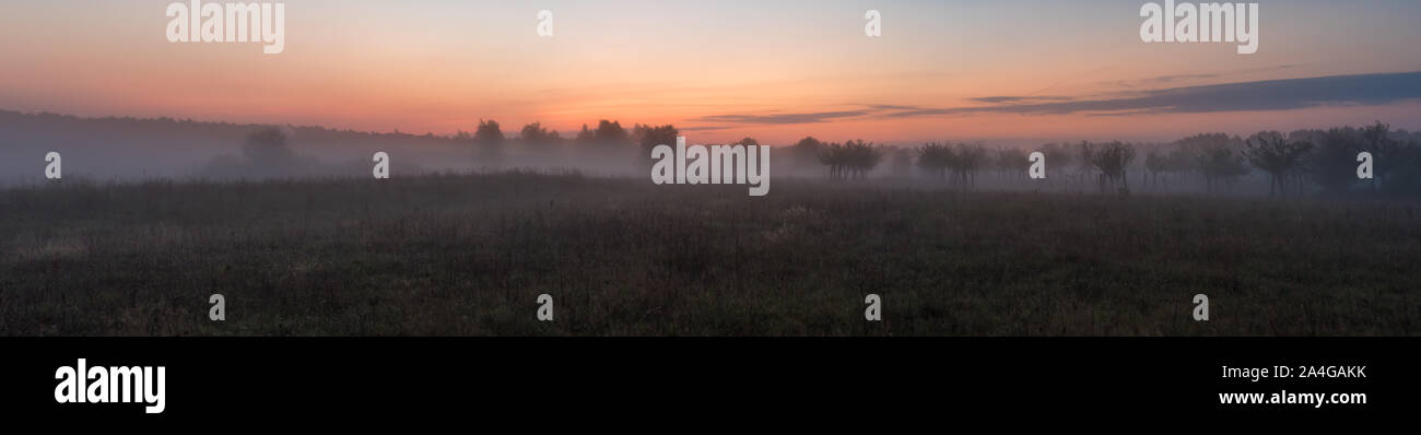 Trees in the fog in the early morning Stock Photo - Alamy