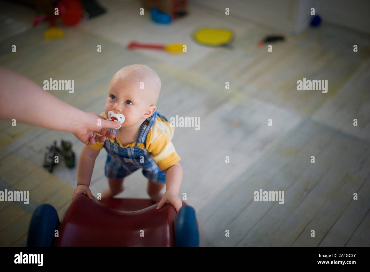 Toddler with a pacifier walking with a toy in a room. Stock Photo
