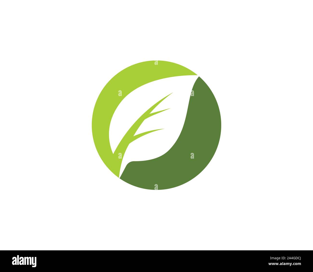 Tree Leaf Vector icon Illustration design template Stock Vector Image ...