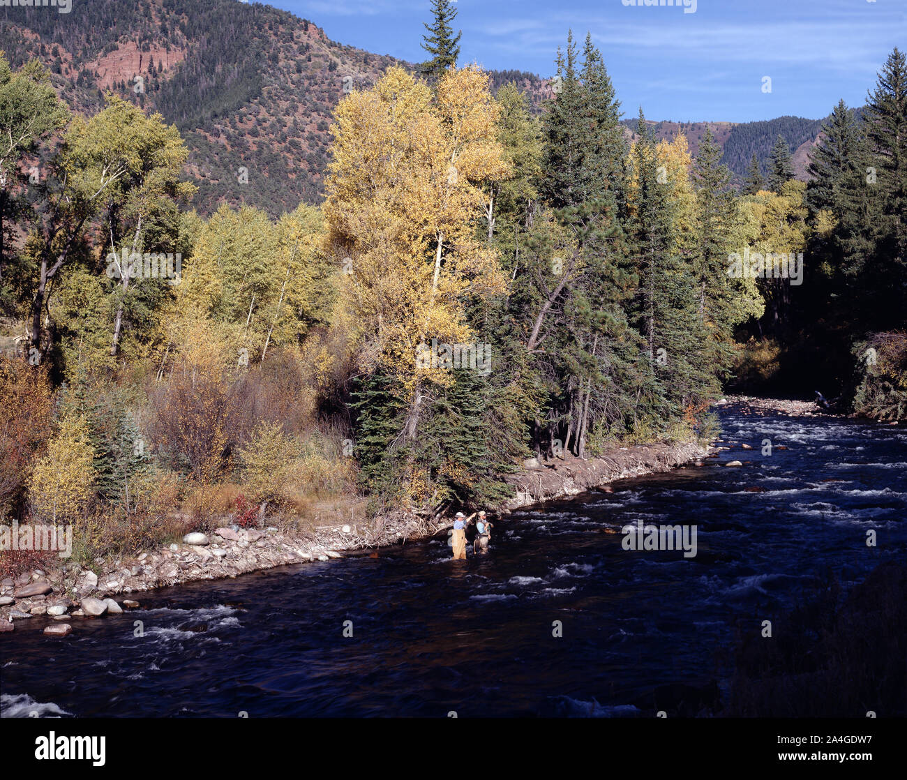 Trout fishing in Colorado's rushing Crystal River Stock Photo - Alamy