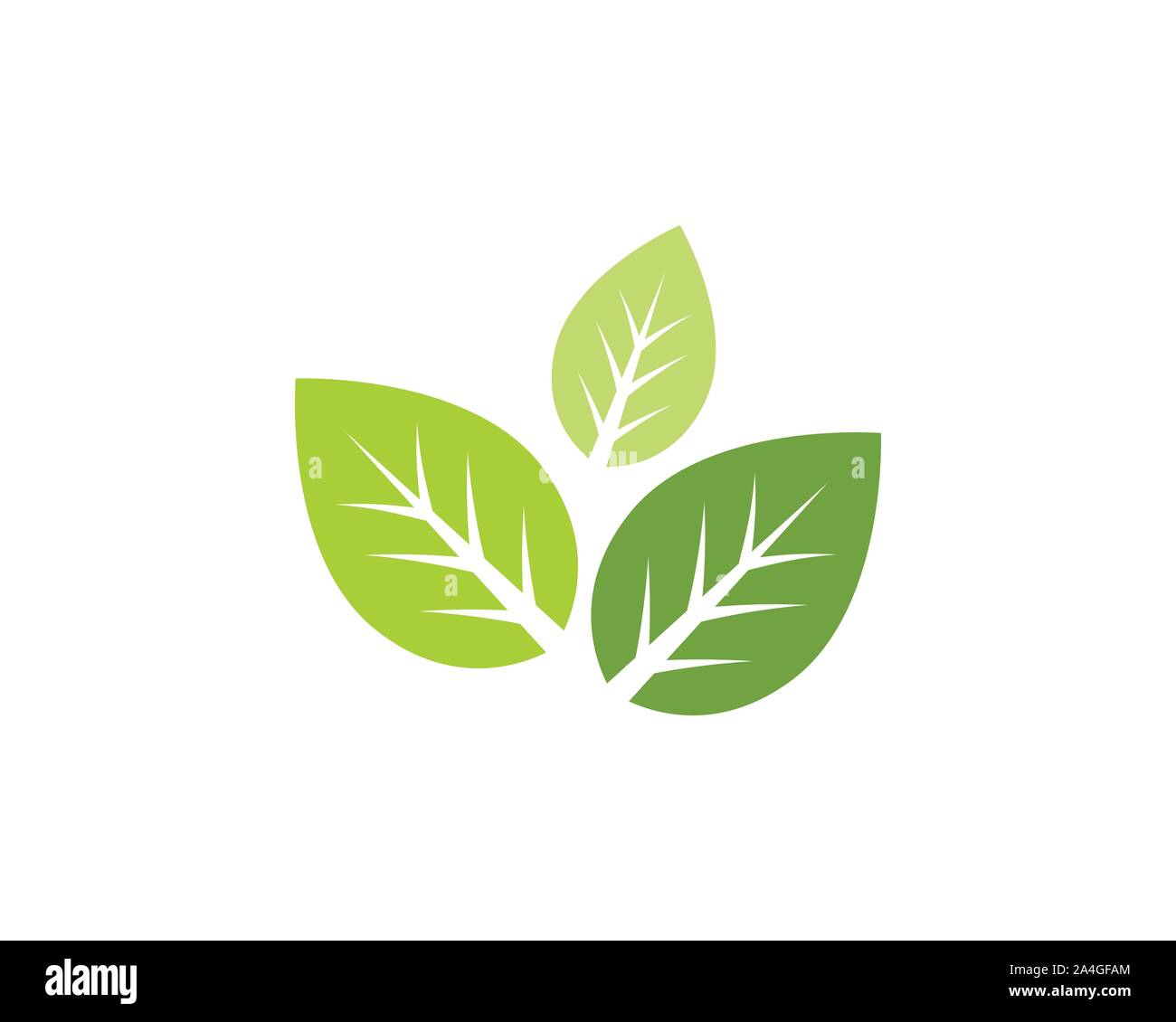 Tree Leaf Vector icon Illustration design template Stock Vector Image ...