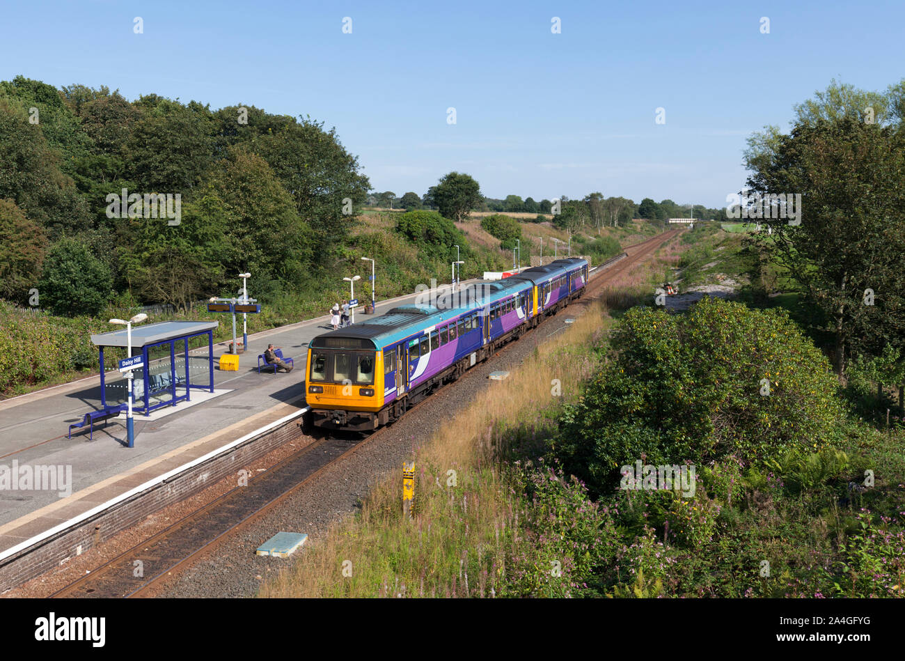 2 Arriva Northern rail class 142 pacer trains at Daisy Hill railway station, Lancashire Stock Photo