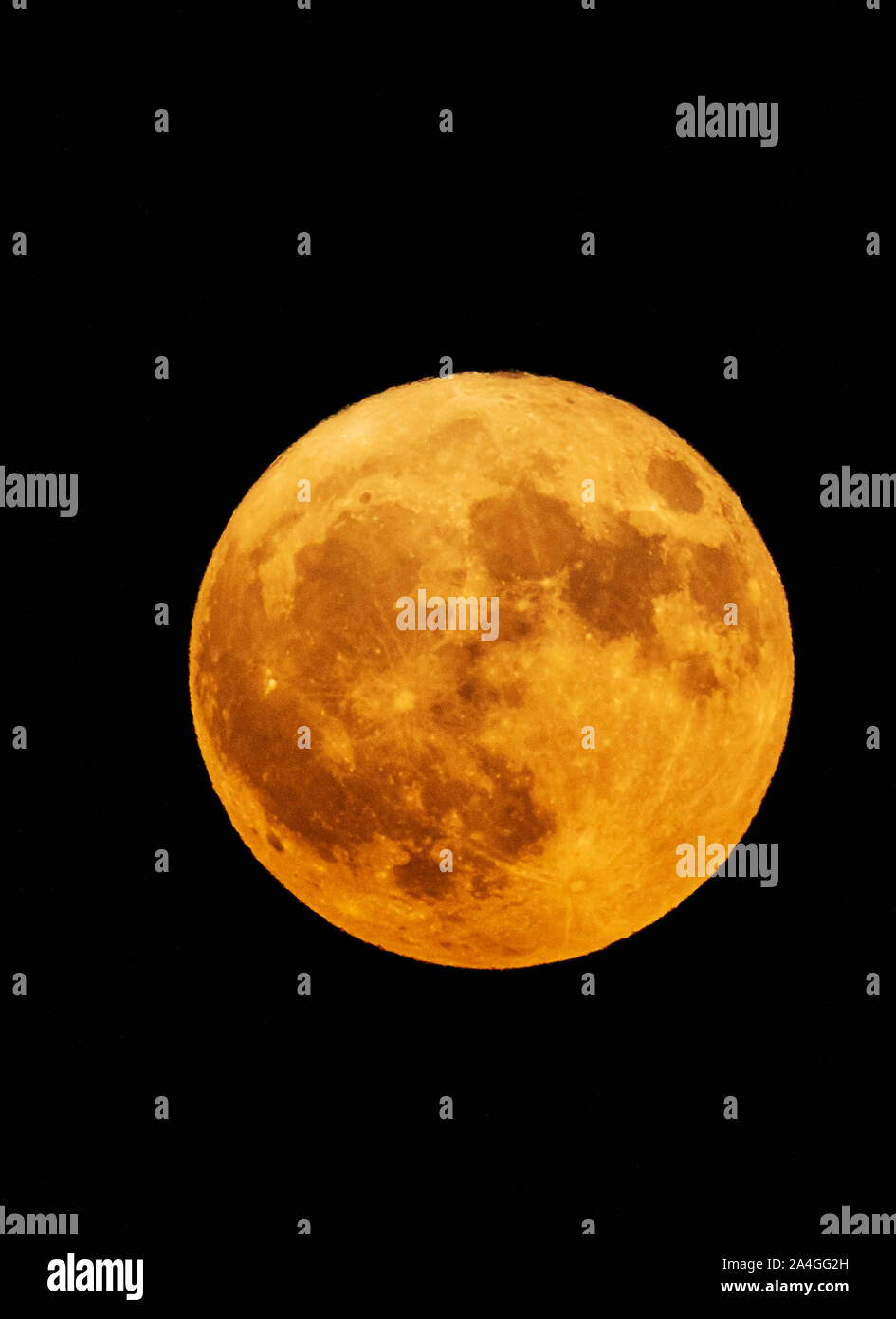 Half-Blood Thunder Moon, or Hunter's Moon over Rocky Mountains, Salida, Colorado, USA Stock Photo