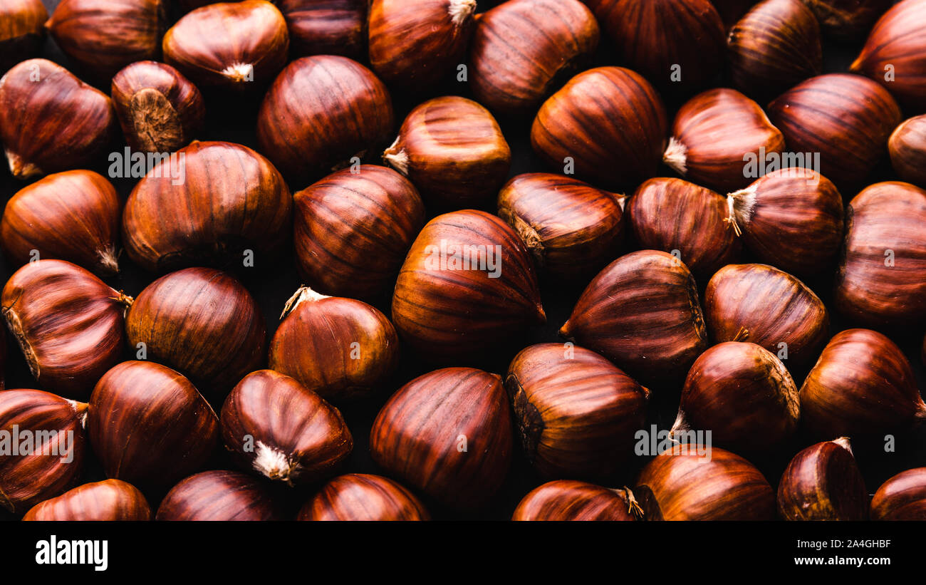 Ripe chestnuts close up. Raw Chestnuts for Christmas. Fresh sweet ...