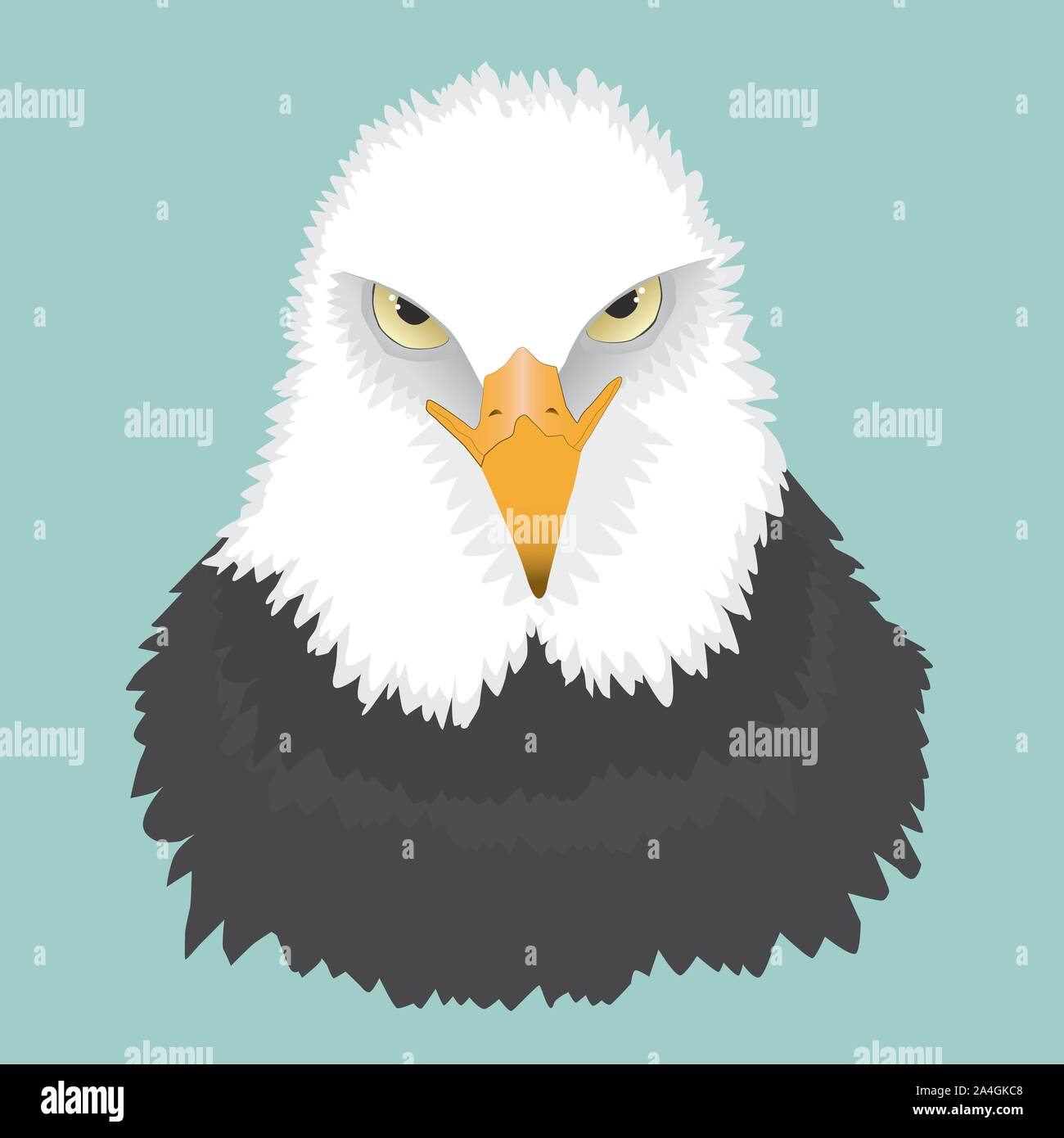 A portrait of a bald eagle. You see him from the front and he is looking angry. Stock Vector
