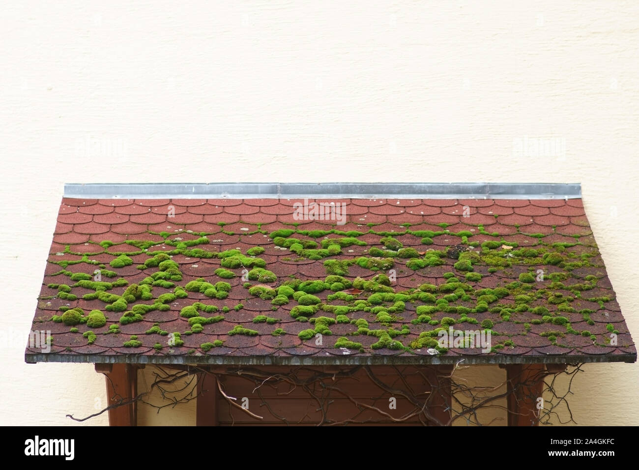 A moss-covered intermediate roof over a building entrance. Stock Photo