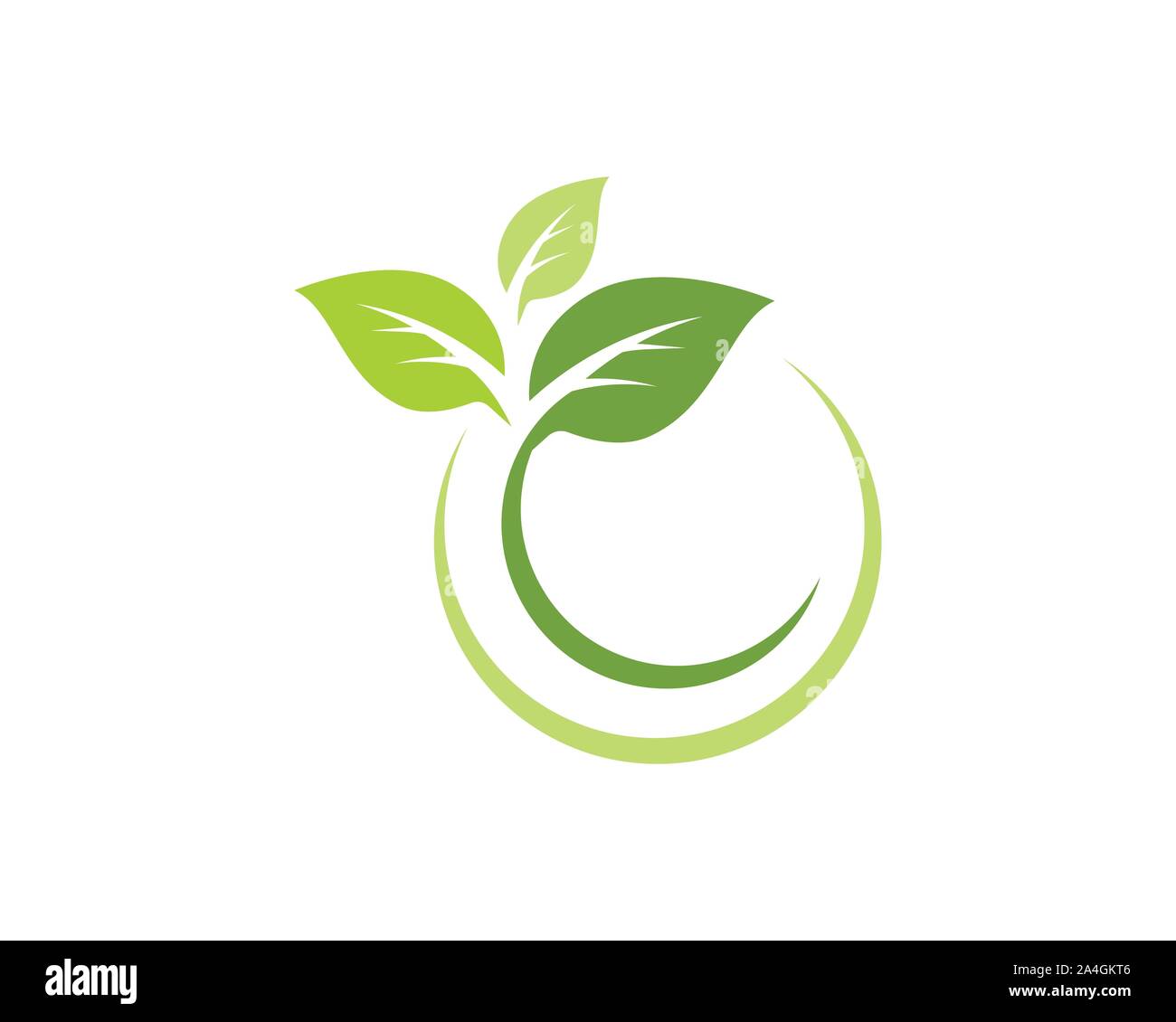 Tree Leaf Vector icon Illustration design template Stock Vector Image ...