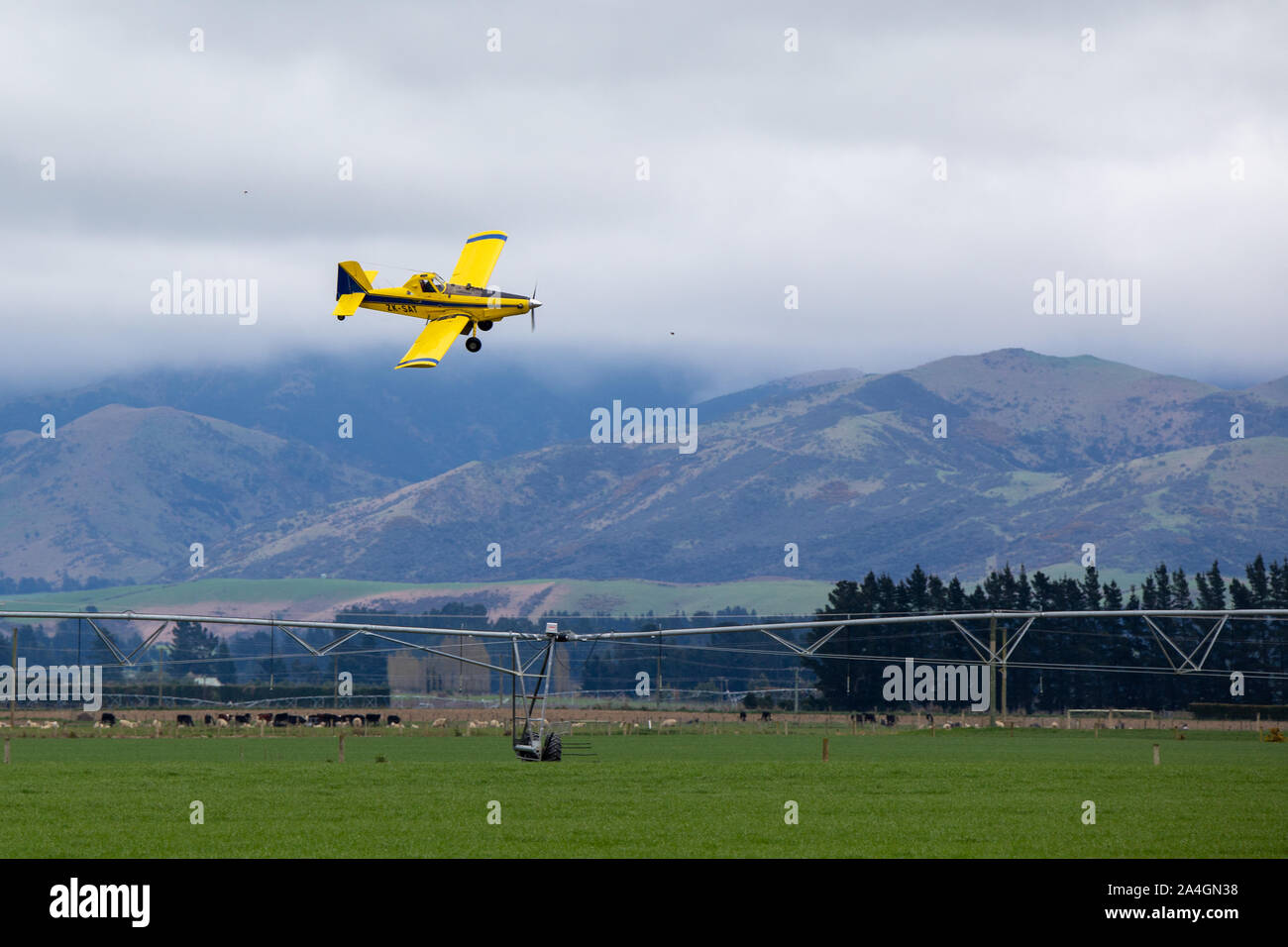 Sheffield, Canterbury, New Zealand, October 14 2019: A yellow crop duster, or top dressing plane, spreads fertiliser over crops in a farm field Stock Photo