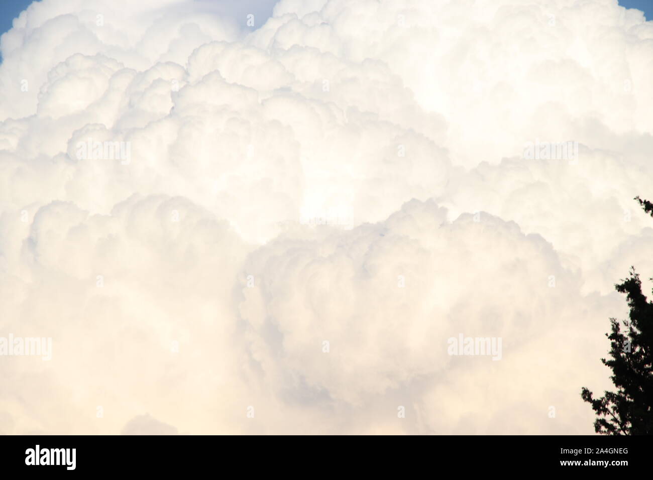 Texture background of blue sky with fluffy cumulus clouds Stock Photo ...
