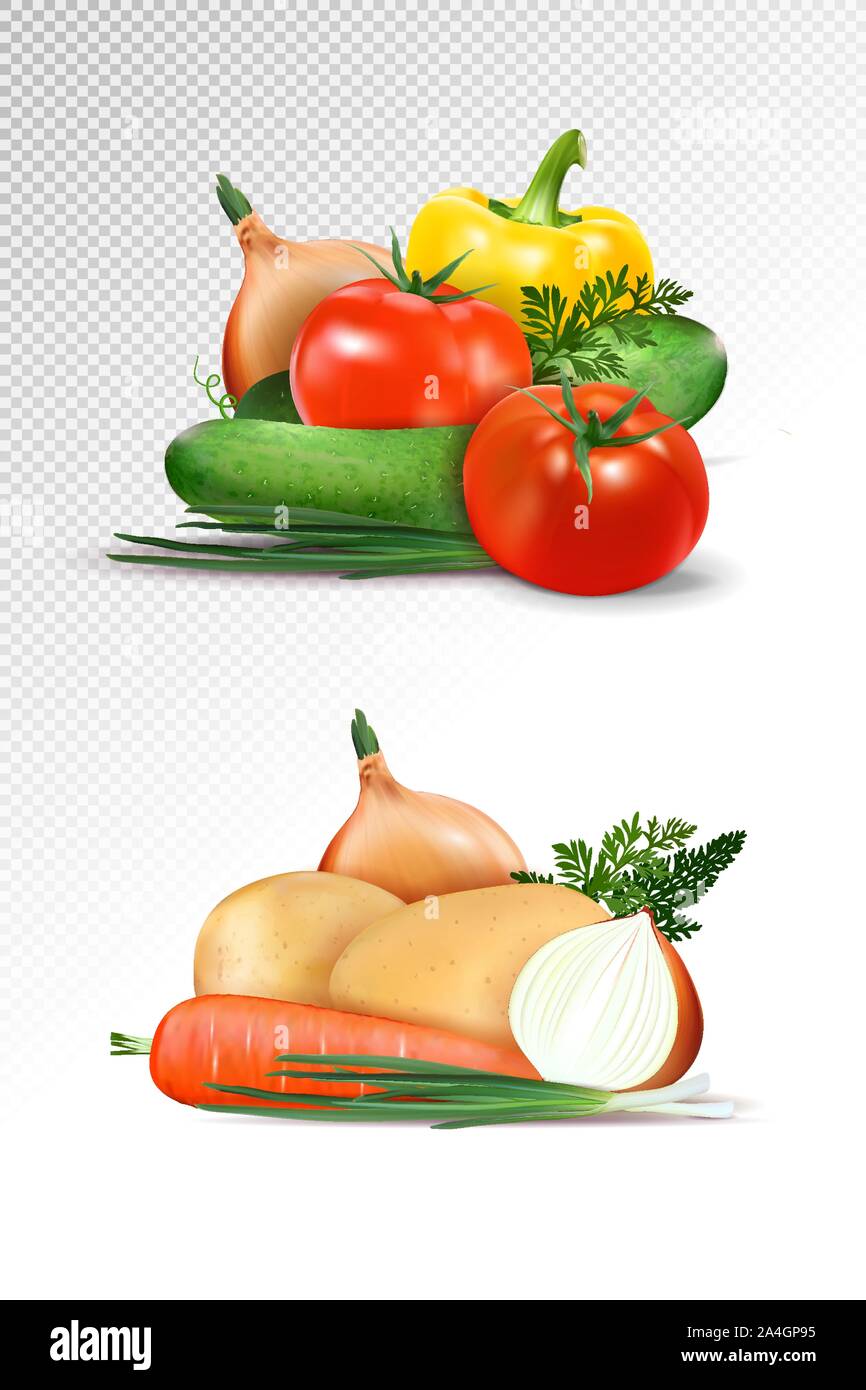 Vector realistic fresh ripe vegetables sets isolated on transparent ...