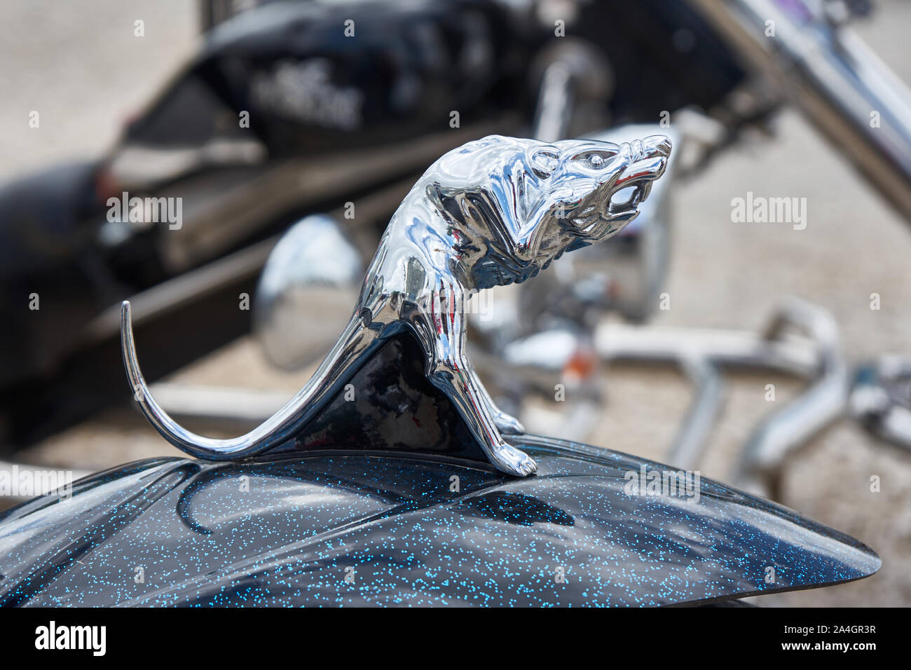 Pontarlier - Bourgogne Franche Comté France - June 16th 2019 - Rat With Open Mouth Motorcycle Mudguard Decoration Sits ON a Parked Trike At Local Car Stock Photo