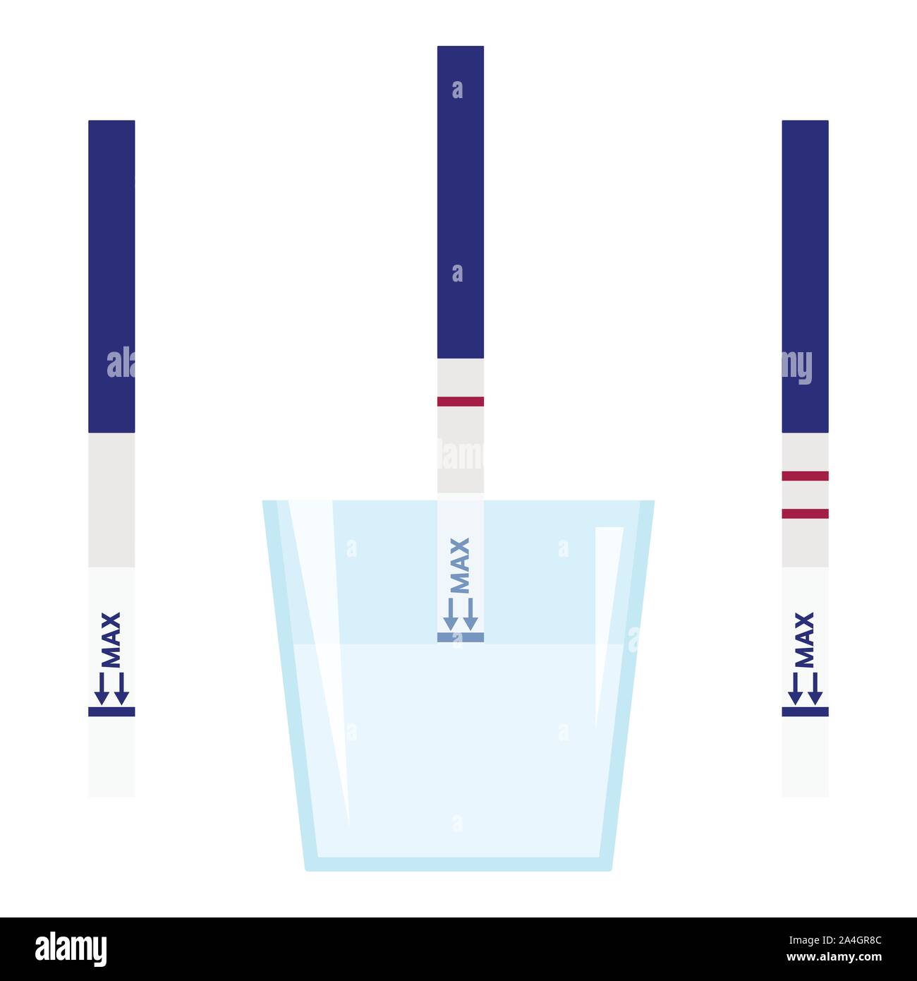 Vector illustration guide how to use pregnancy test positive HCG Vector illustration guide how to use pregnancy test positive HCG