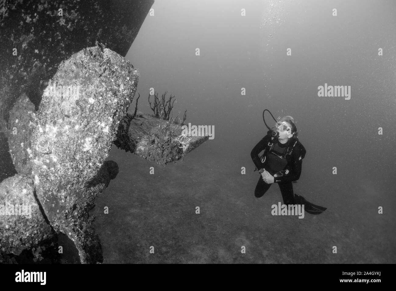A scuba diver admires the size of a propeller on the C-59 shipwreck near La Paz, Mexico. Stock Photo
