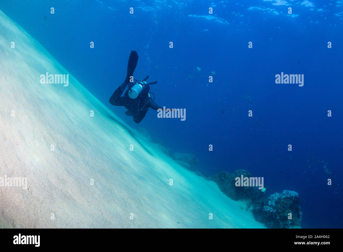 A scuba diver swims over a steep sand slope in the Cabo San Lucas Marine Park, Mexico. Stock Photo