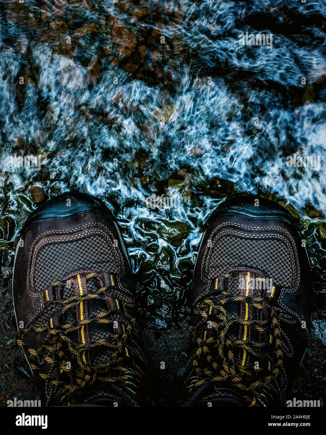 Don't Forget Your Roots - Whakapapa Nature Walk, Tongariro National Park Stock Photo