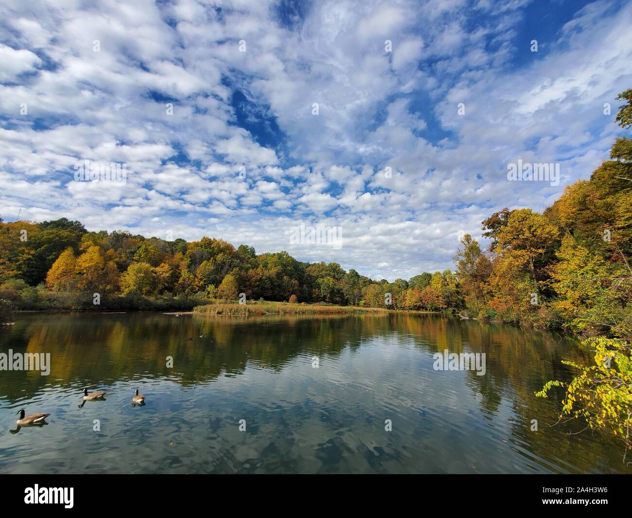Pond and fall folliage in Hedden County Park, Dover, NJ. Stock Photo