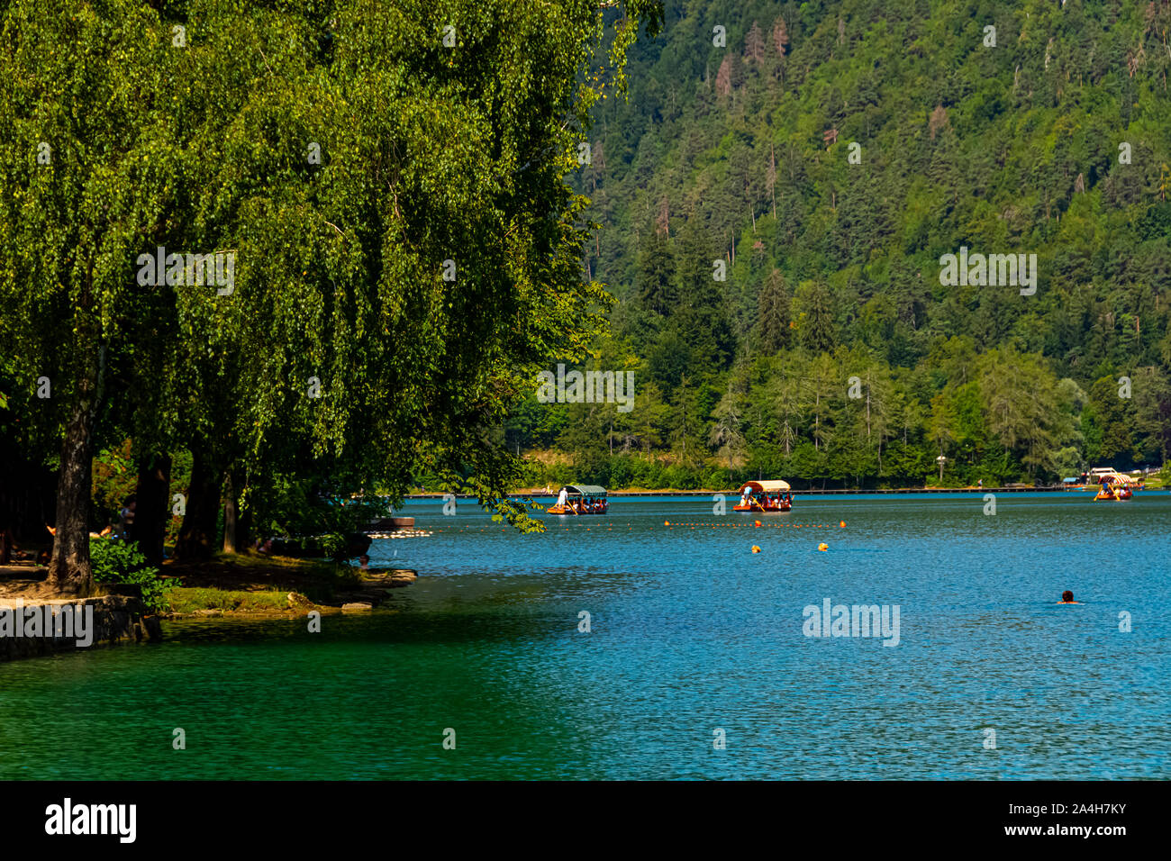 Tourist enjoying the Blade lake and Boats going to Church island Stock
