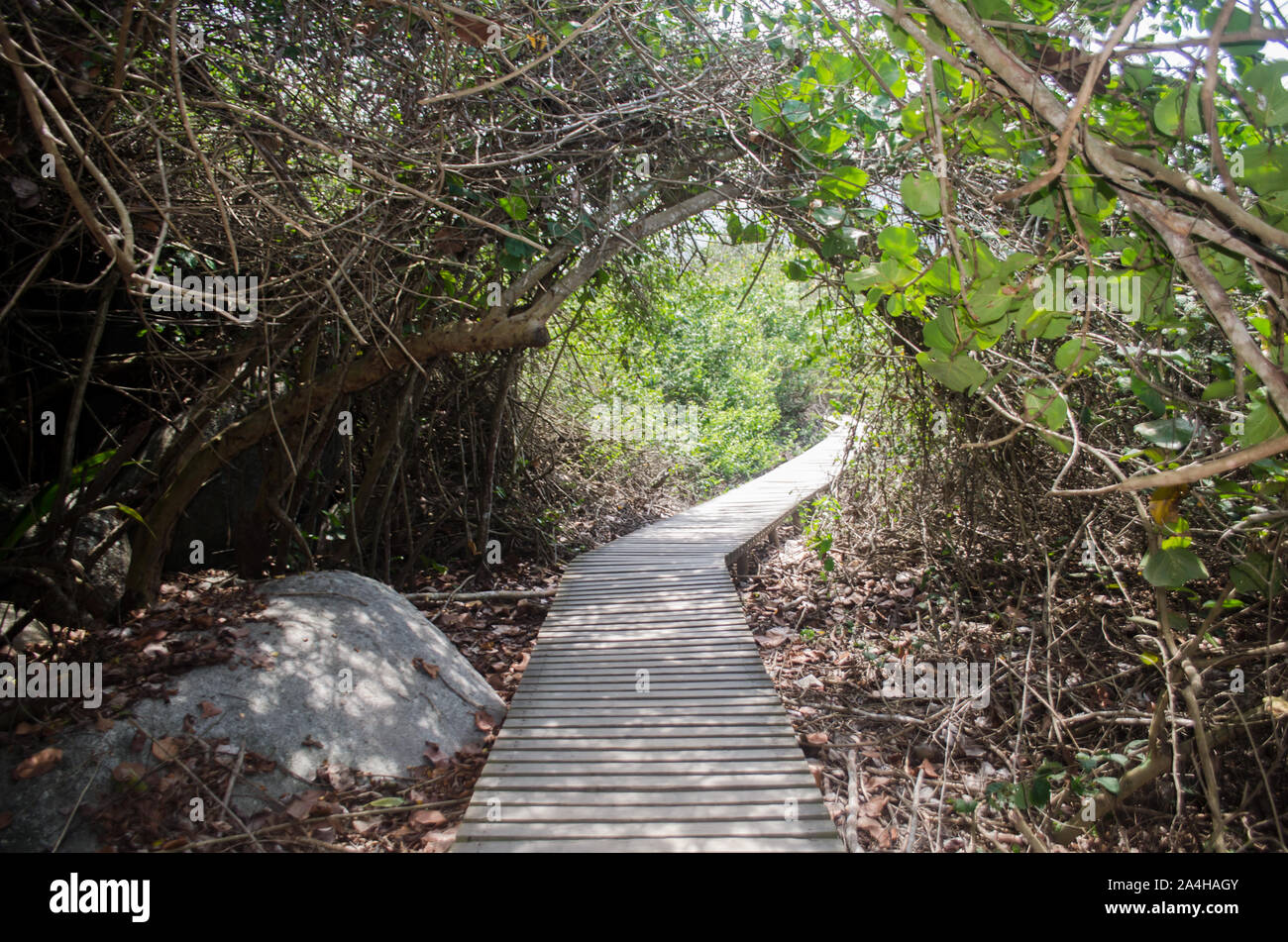 Arrecifes trail in Tayrona National Park, a protected area located in Magdalena Department on the Caribbean Side of Colombia Stock Photo