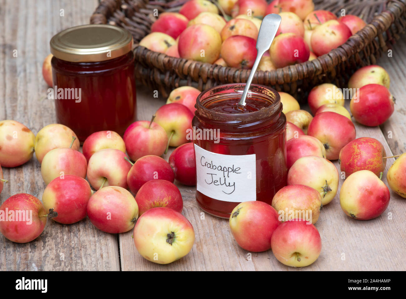 Malus ‘Jelly King’. Crab apple ‘Jelly King’ fruit and a jar of crab