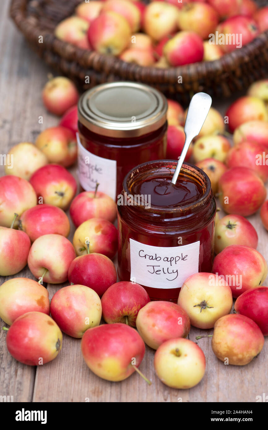 Jelly king crab apple hires stock photography and images Alamy