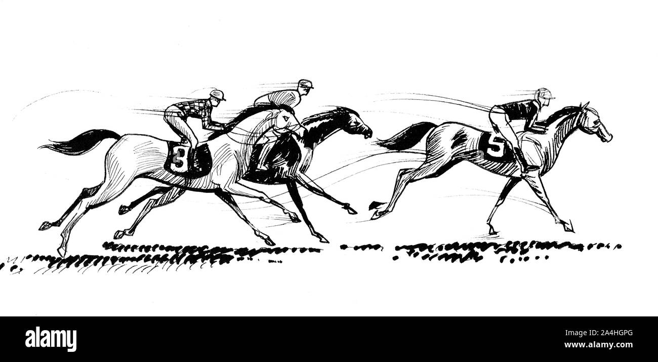 Horse racing. Ink black and white drawing Stock Photo Alamy
