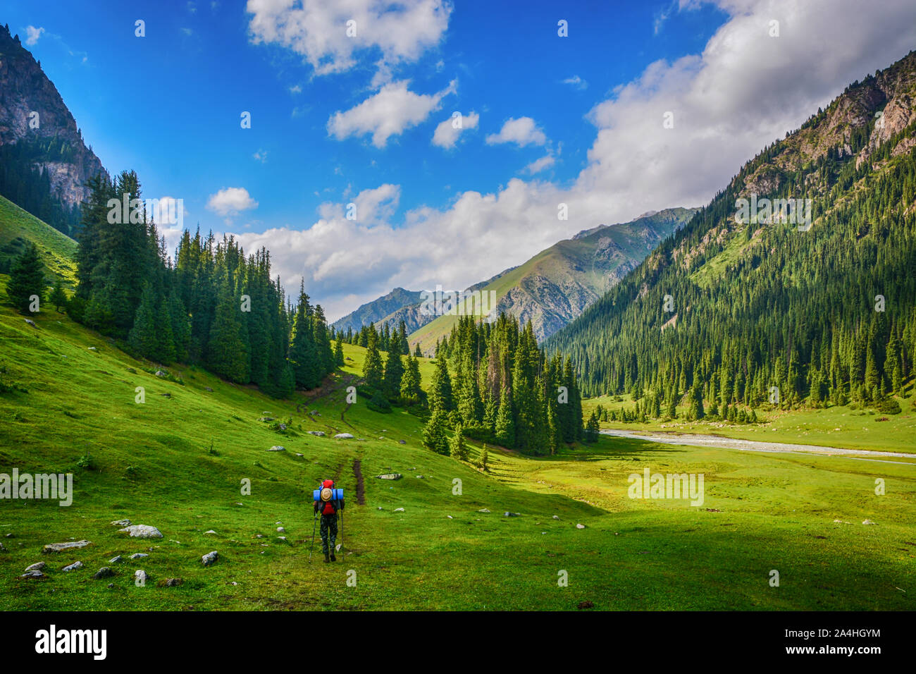 Idyllic summer landscape with hiker in the mountains with beautiful fresh green mountain pastures and forest. Concept of outdoor activities and advent Stock Photo