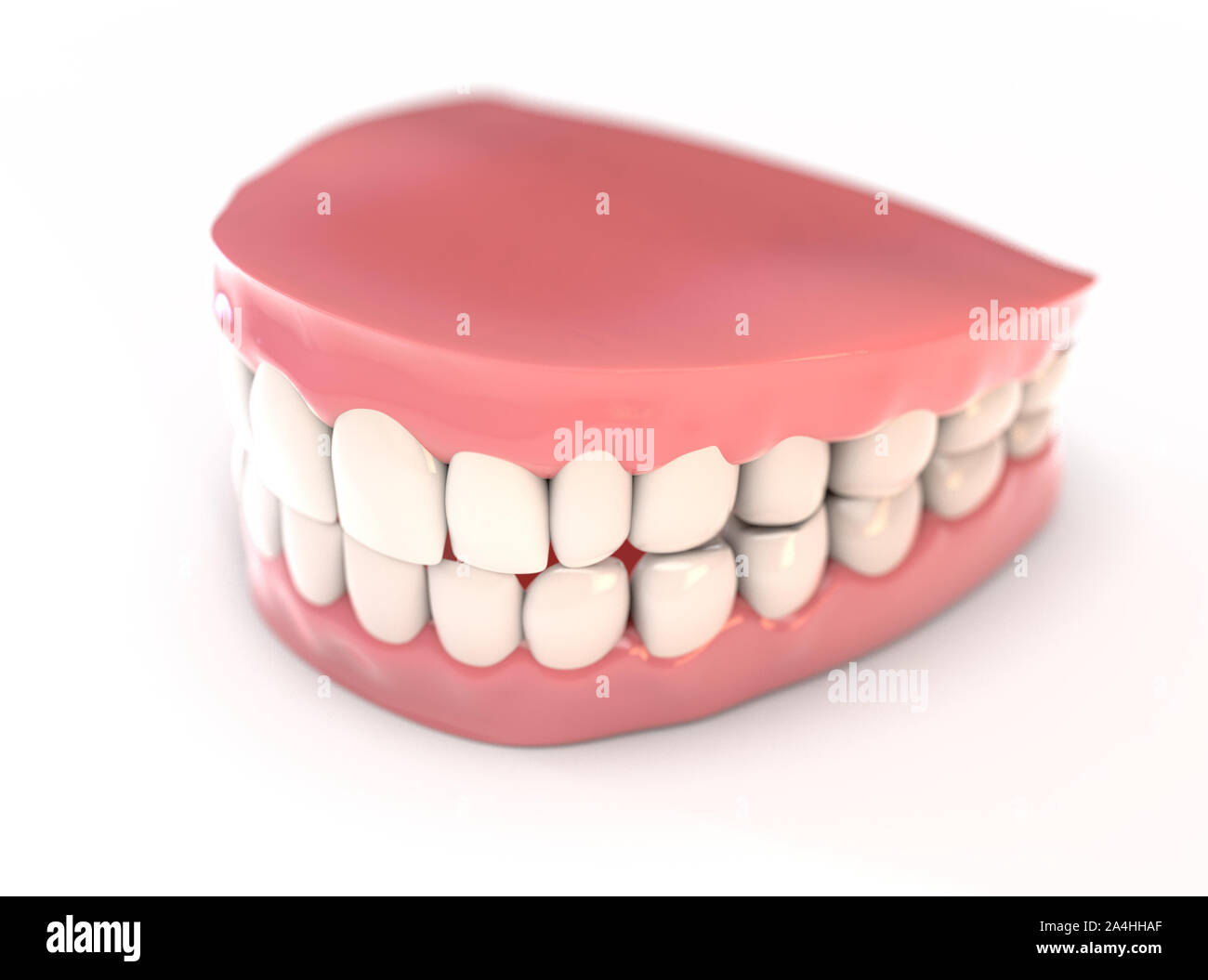 A pair of upper and lower sets of perfect human teeth set in gums on an isolated background - 3D render Stock Photo