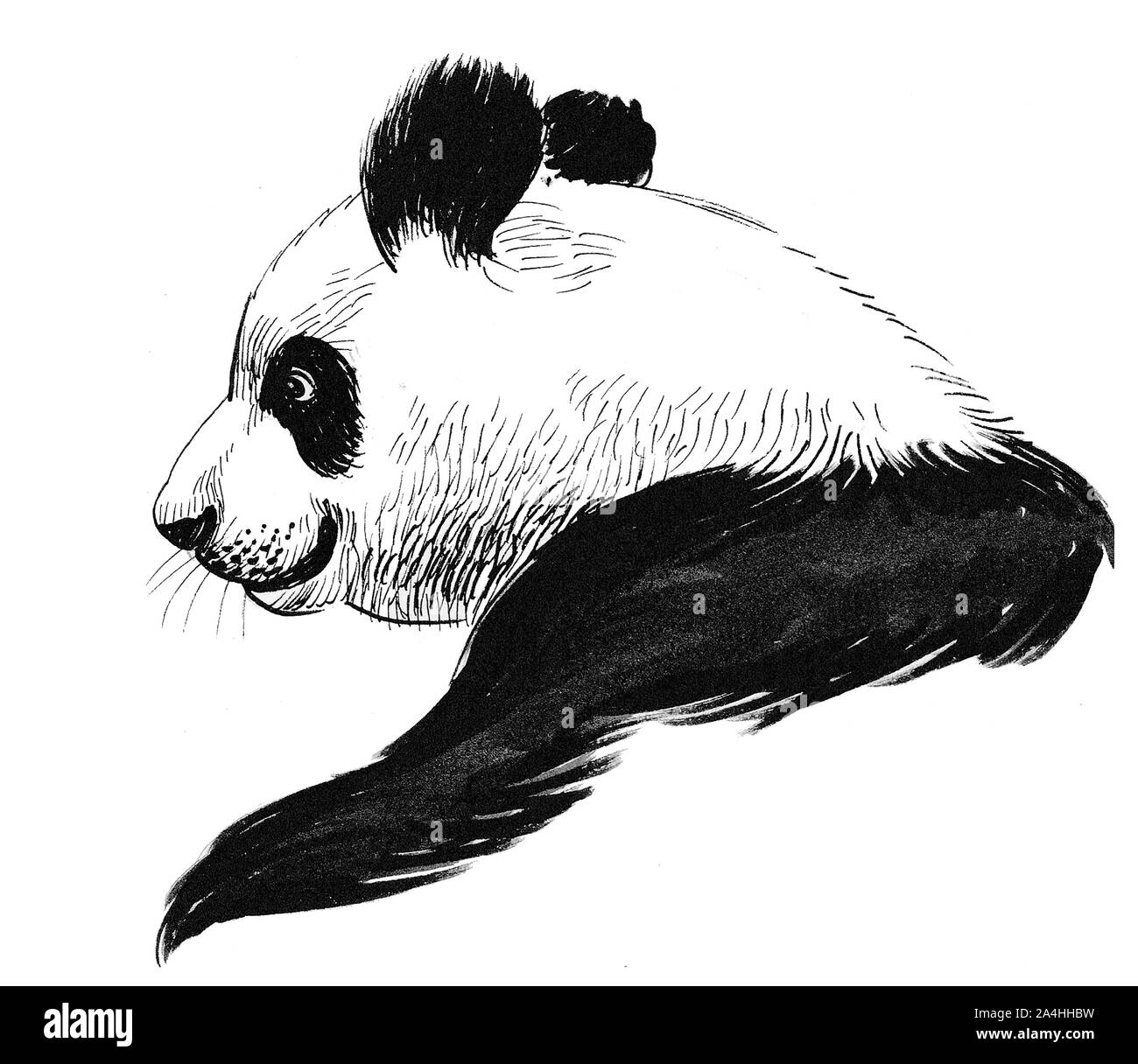 Panda Bear Black And White Stock Photos Images Alamy Panda Bear Black And White Stock Photos Images Alamy