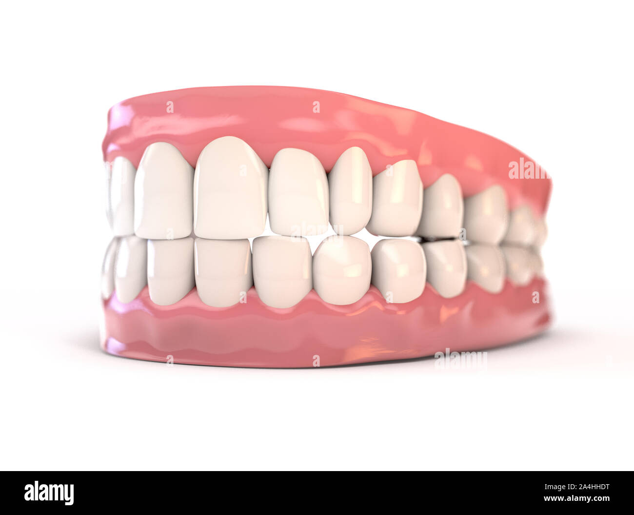 A pair of upper and lower sets of perfect human teeth set in gums on an isolated background - 3D render Stock Photo