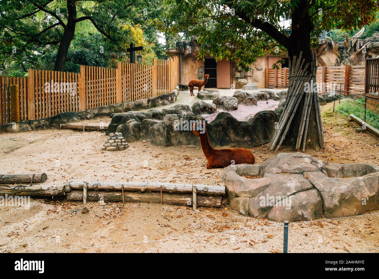 Seoul, Korea October 26, 2016 Children's Grand Park Zoo Stock Photo
