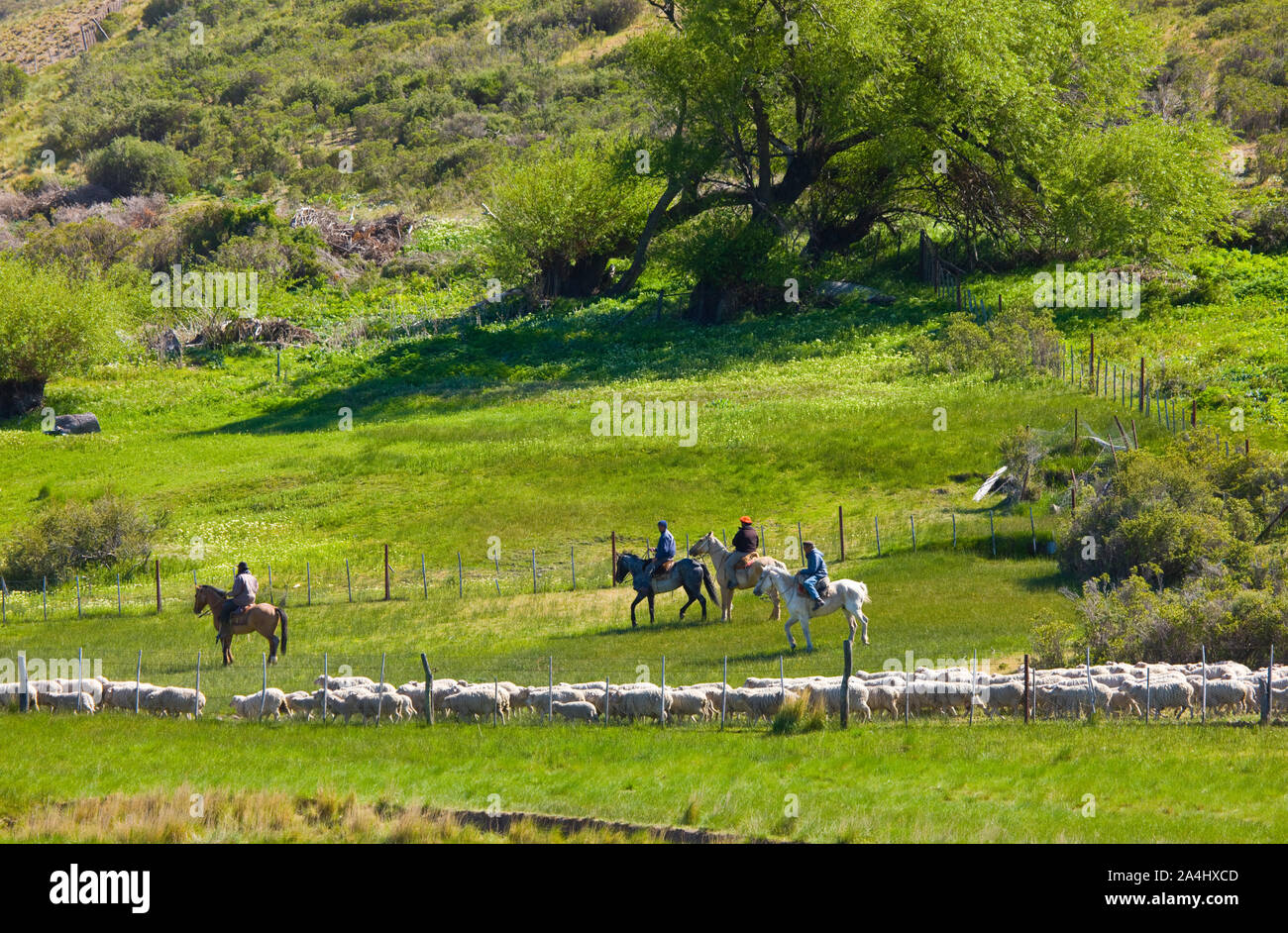 Estancia patagonica, Camarones,Patagonia, Argentina Stock Photo Alamy