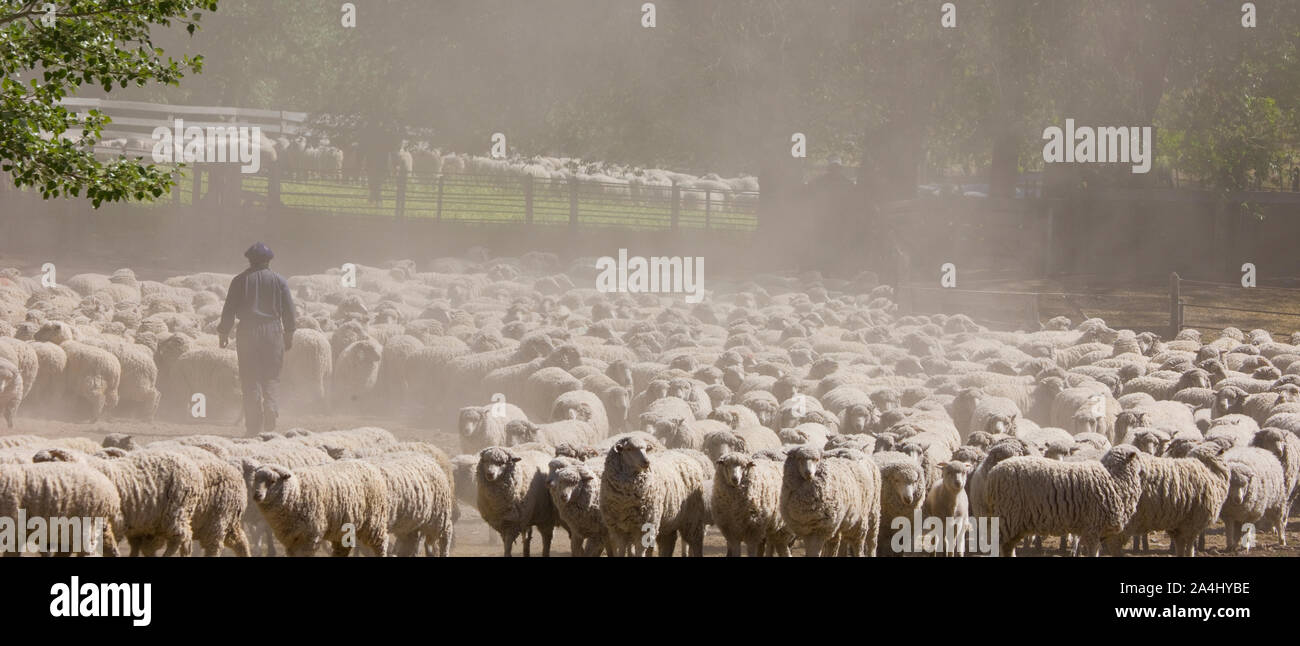 Estancia patagonica, Camarones,Patagonia, Argentina Stock Photo Alamy