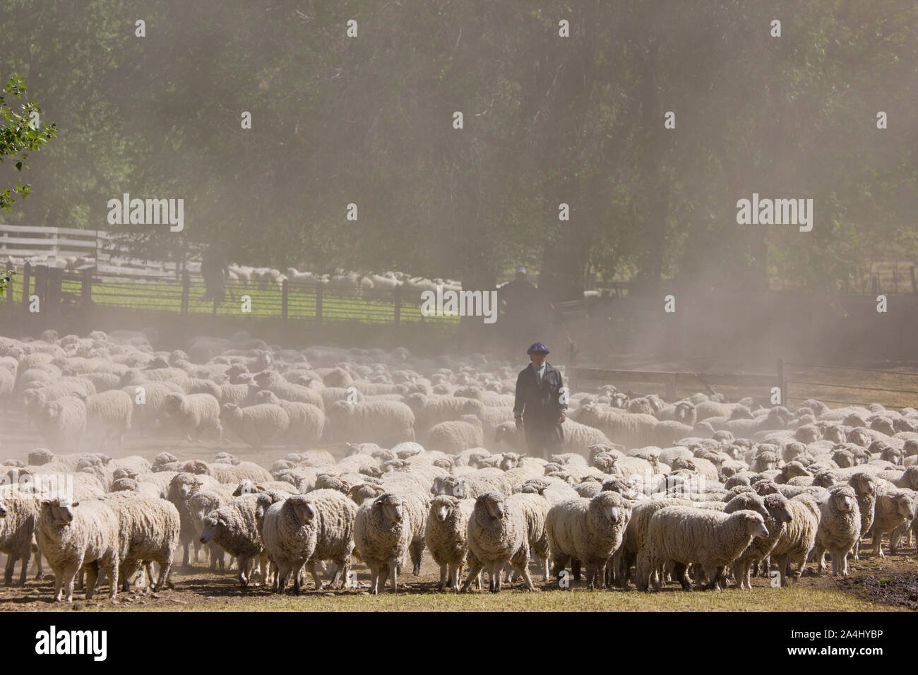 Estancia patagonica, Camarones,Patagonia, Argentina Stock Photo Alamy