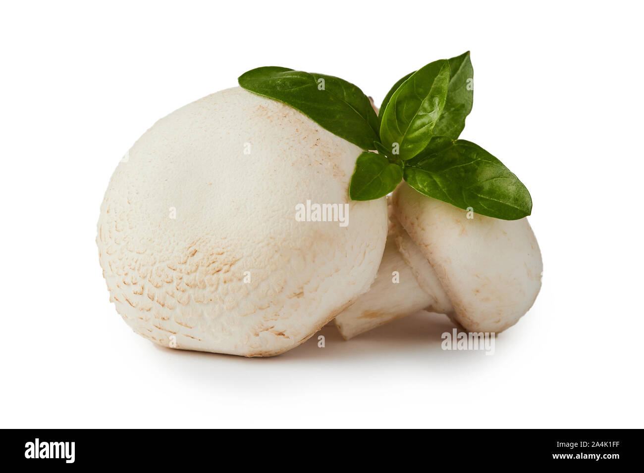 Raw organic champignon mushrooms (Agaricus bisporus) isolated on white background Stock Photo