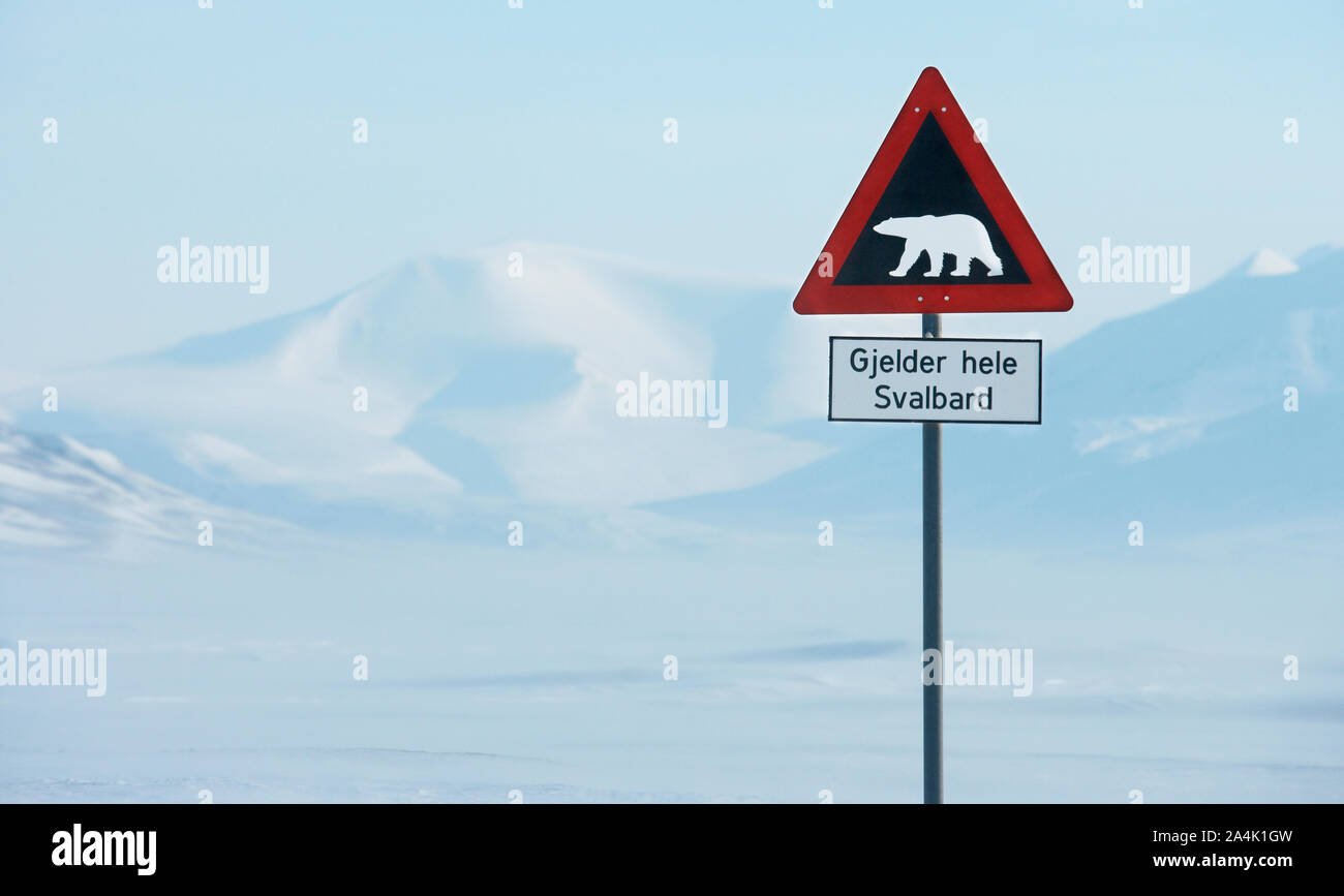 Be aware polar bears Stock Photo