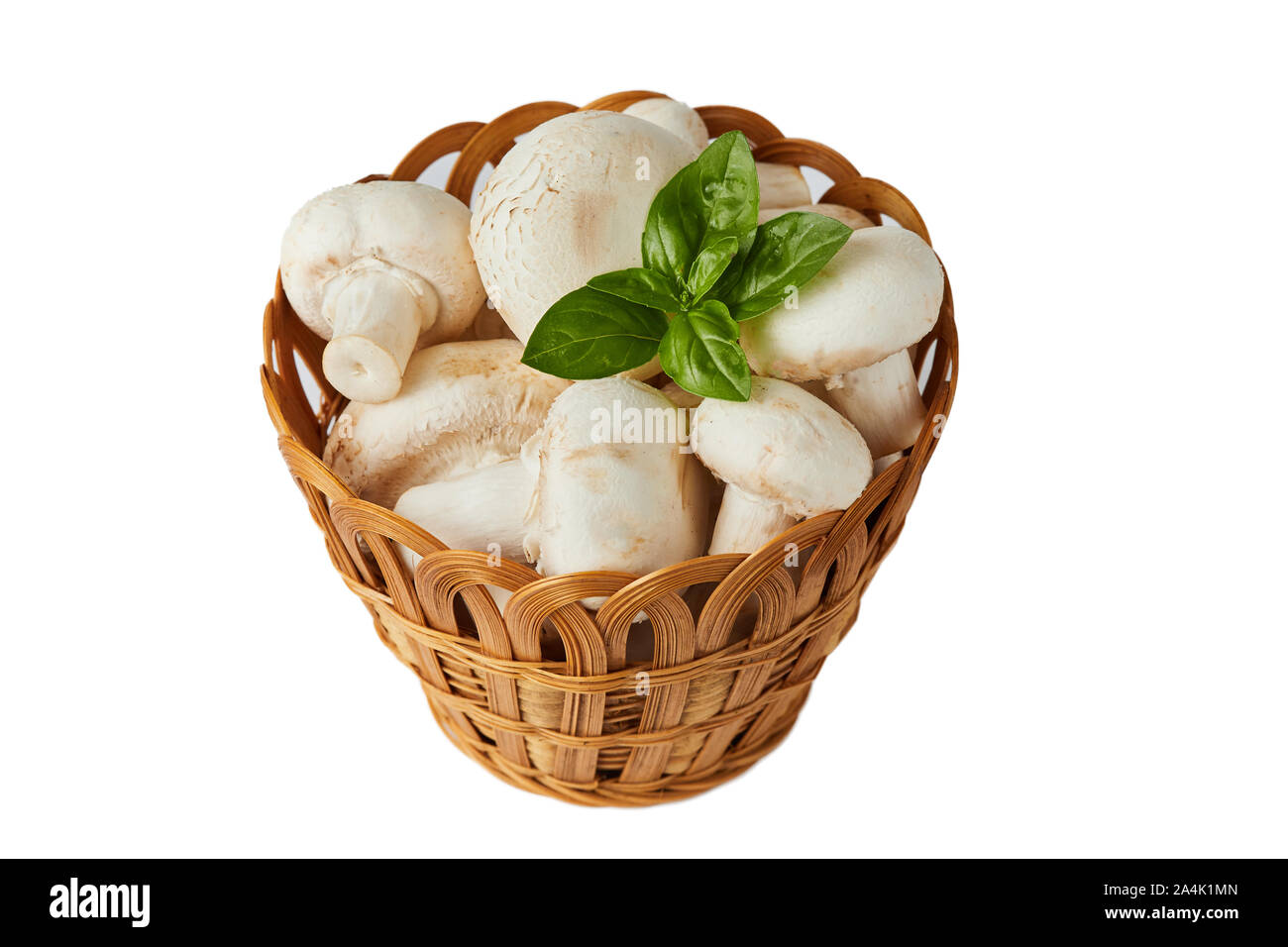Raw organic champignon mushrooms (Agaricus bisporus) isolated on white background Stock Photo