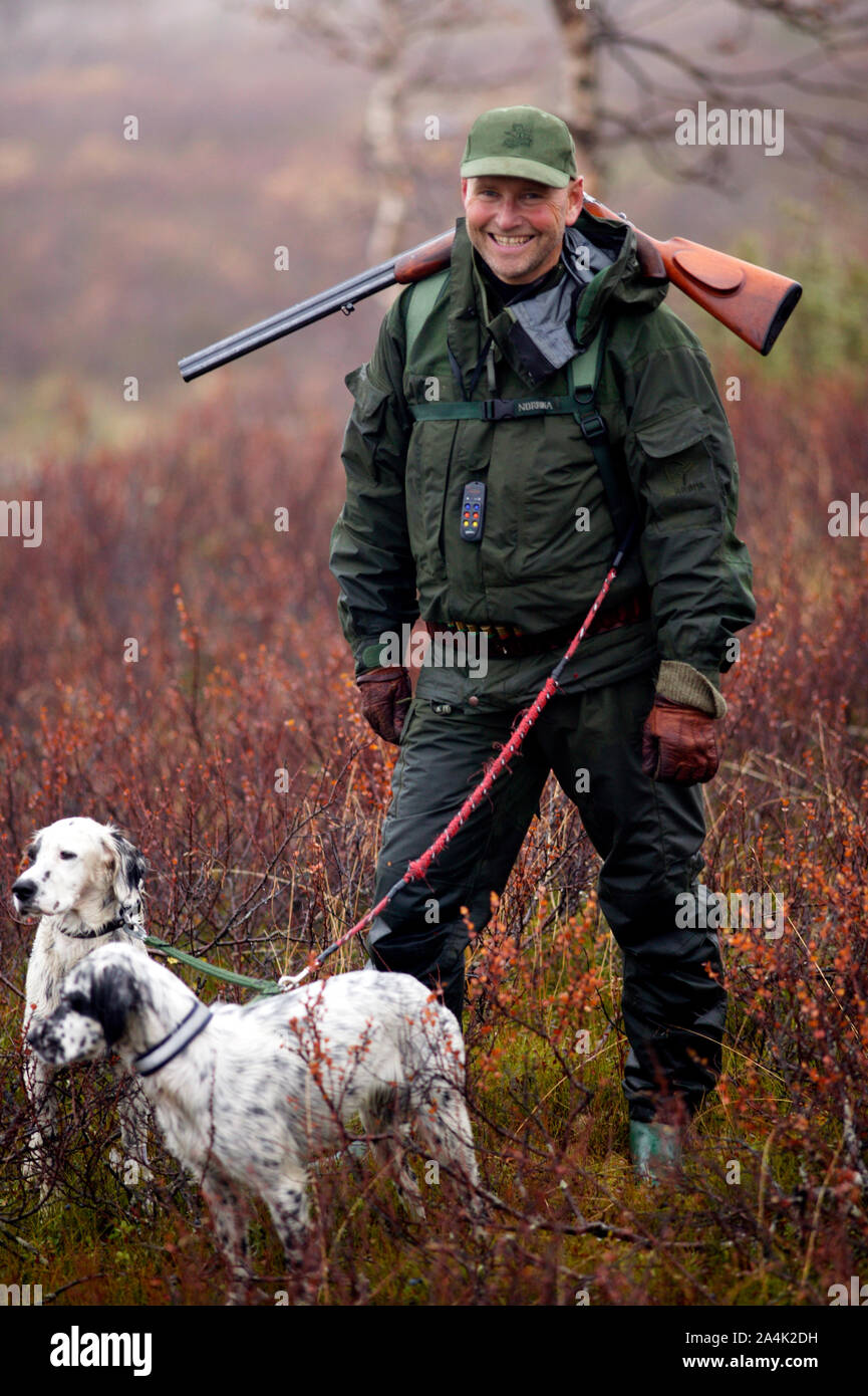 English hunting best sale dog