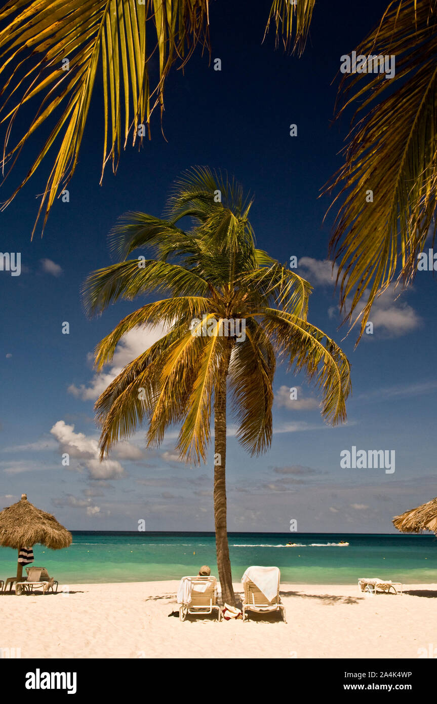 Beach chairs at Manchebo Beach, Aruba Stock Photo Alamy