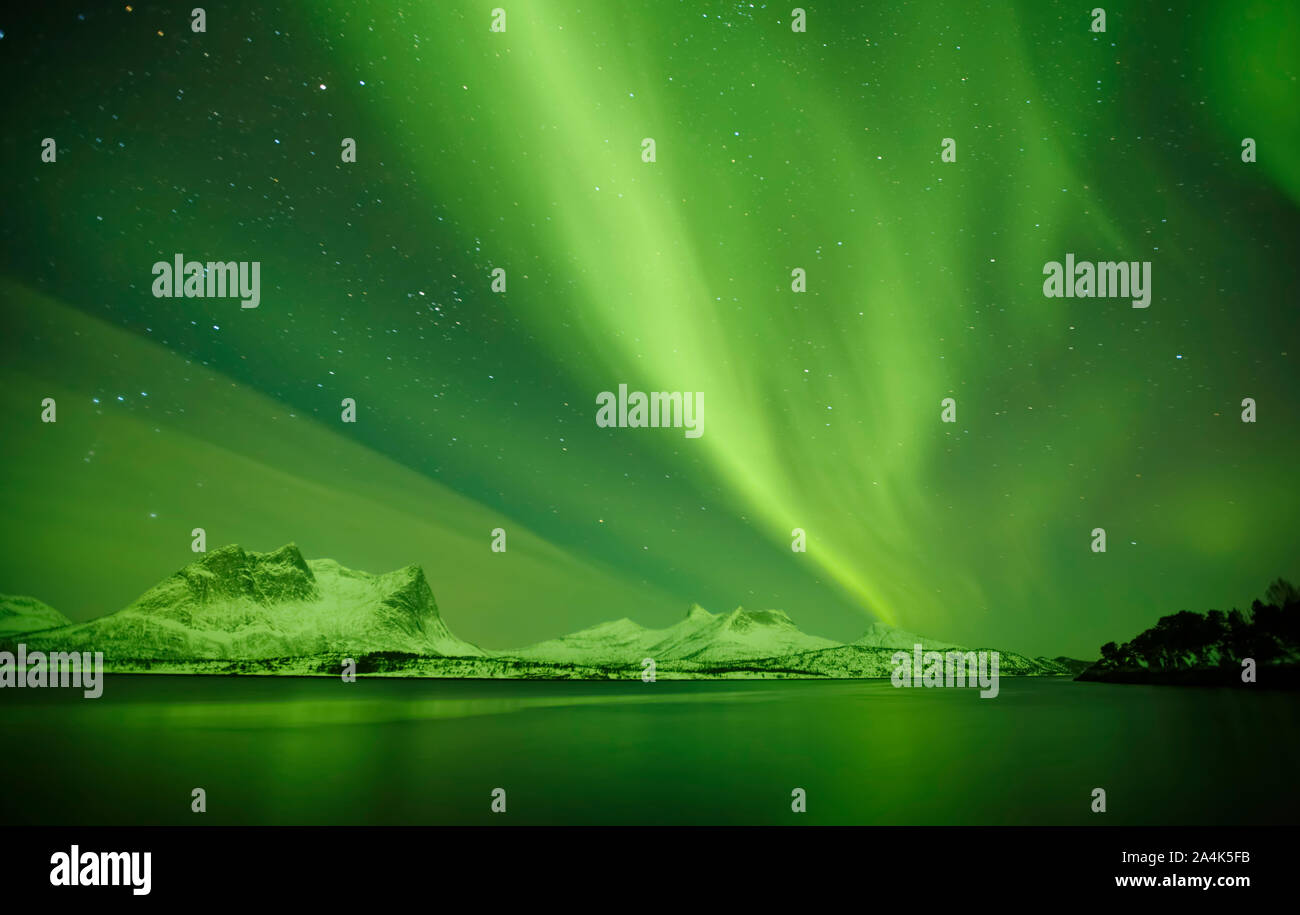 Northern lights in Nordland Stock Photo