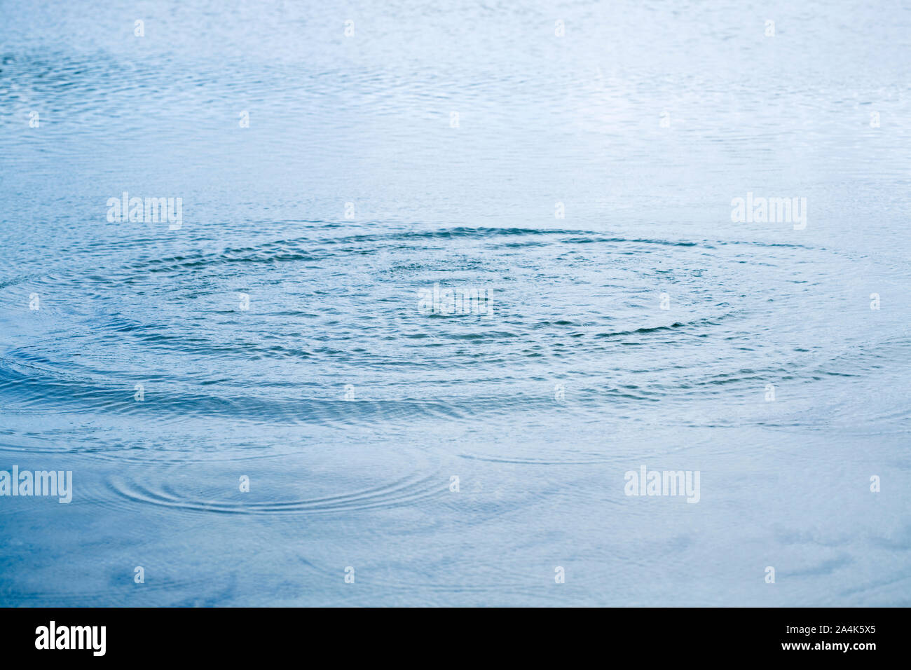 Rings in water Stock Photo Alamy