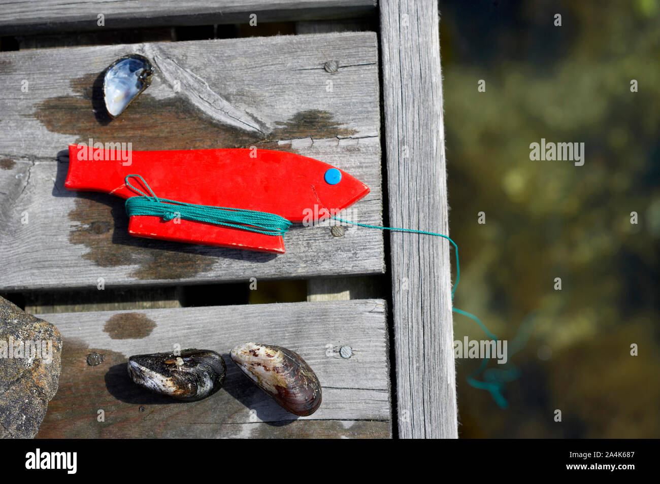 Fishing Shell Photography Shell fishing hi-res stock photography and images - Alamy