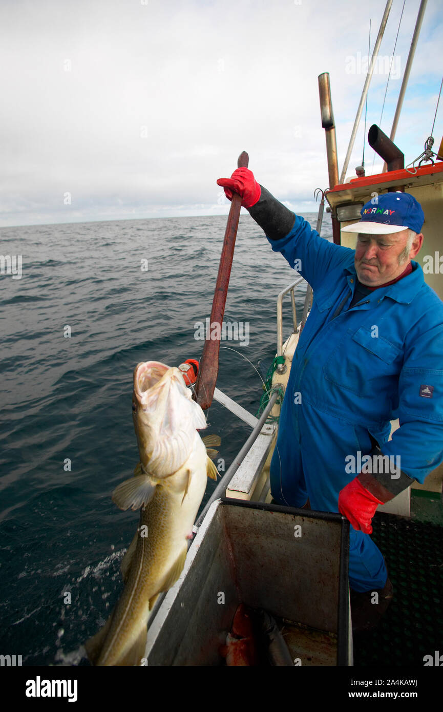 Fisherman at work Stock Photo