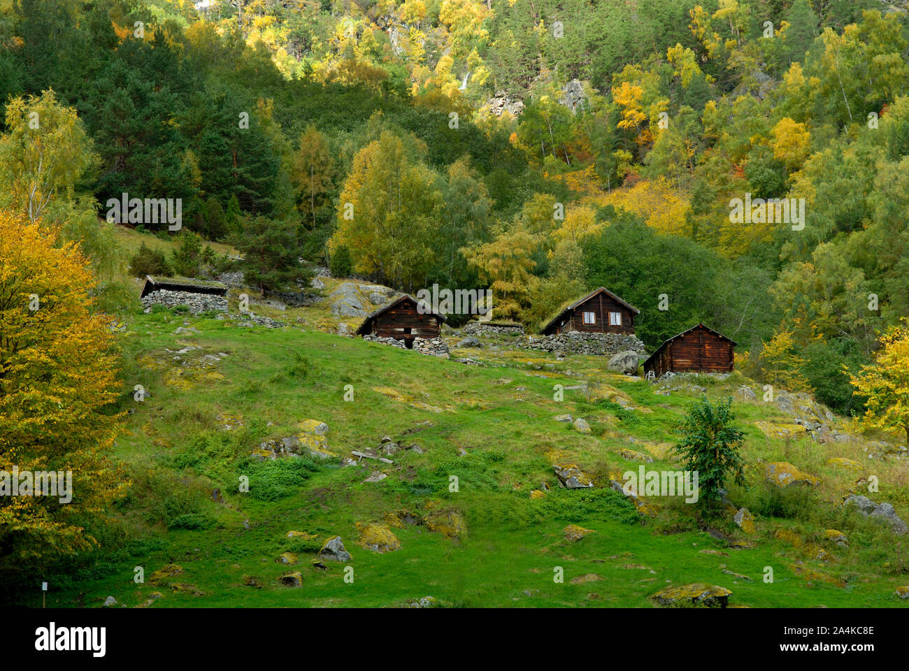 Galdane Farm Hi res Stock Photography And Images Alamy galdane-farm-hi-res-stock-photography-and-images-alamy
